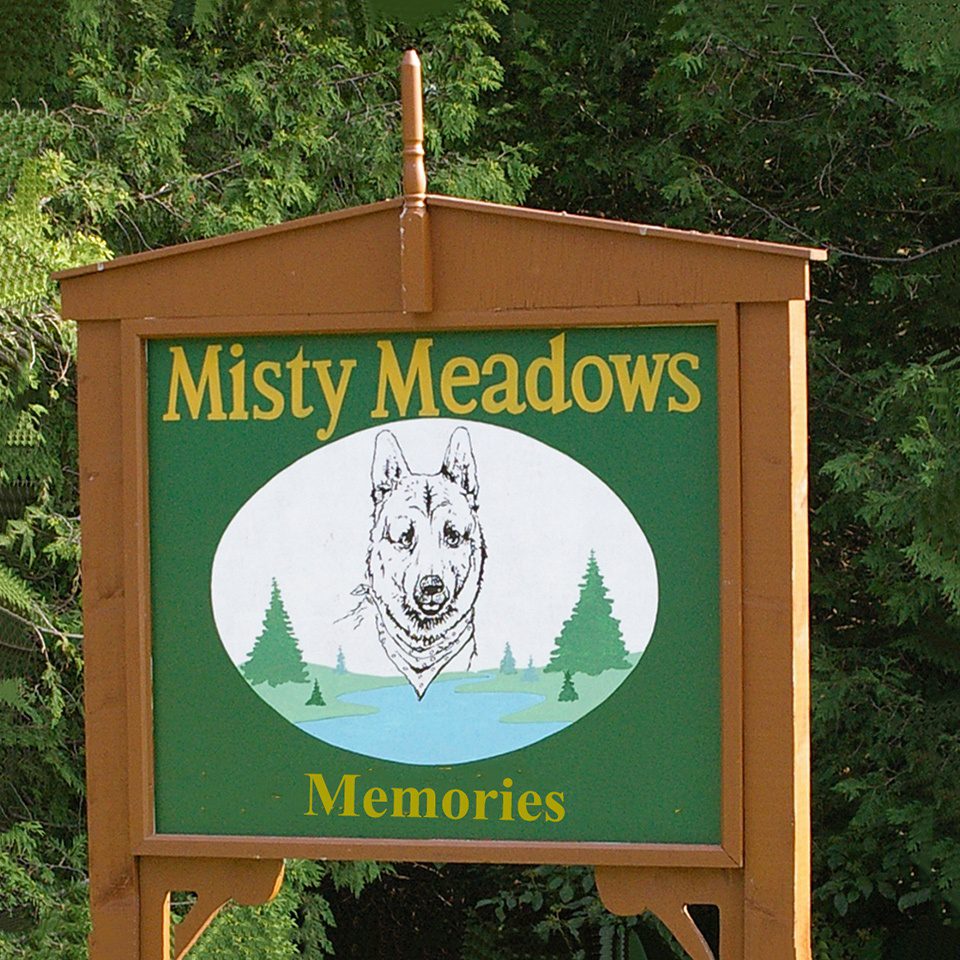 Misty Meadow Memories